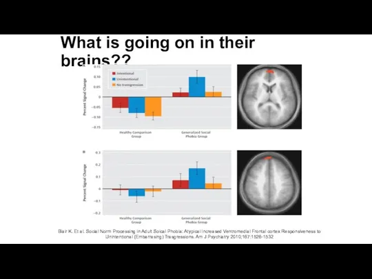 What is going on in their brains?? Blair K. Et al.