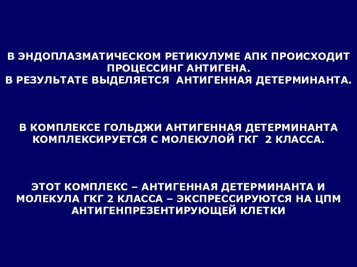 В ЭНДОПЛАЗМАТИЧЕСКОМ РЕТИКУЛУМЕ АПК ПРОИСХОДИТ ПРОЦЕССИНГ АНТИГЕНА. В РЕЗУЛЬТАТЕ ВЫДЕЛЯЕТСЯ АНТИГЕННАЯ