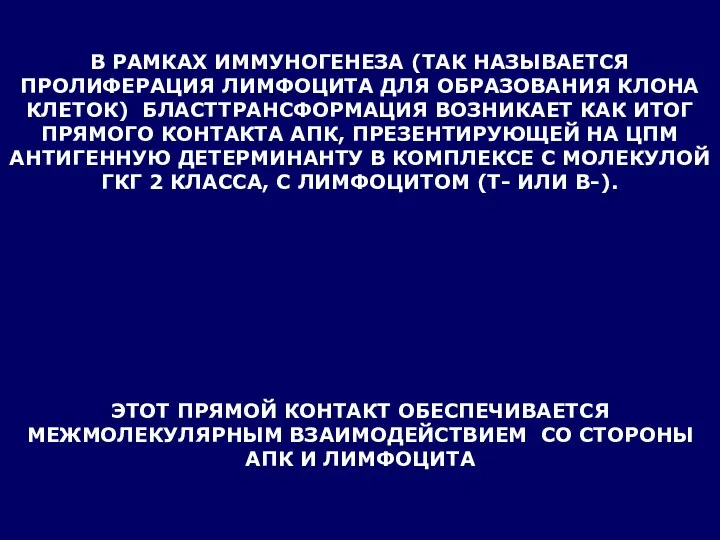 В РАМКАХ ИММУНОГЕНЕЗА (ТАК НАЗЫВАЕТСЯ ПРОЛИФЕРАЦИЯ ЛИМФОЦИТА ДЛЯ ОБРАЗОВАНИЯ КЛОНА КЛЕТОК)