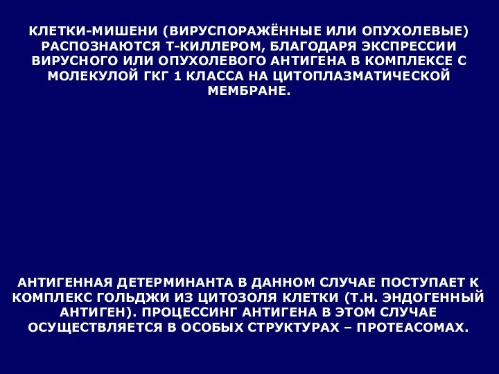 КЛЕТКИ-МИШЕНИ (ВИРУСПОРАЖЁННЫЕ ИЛИ ОПУХОЛЕВЫЕ) РАСПОЗНАЮТСЯ Т-КИЛЛЕРОМ, БЛАГОДАРЯ ЭКСПРЕССИИ ВИРУСНОГО ИЛИ ОПУХОЛЕВОГО