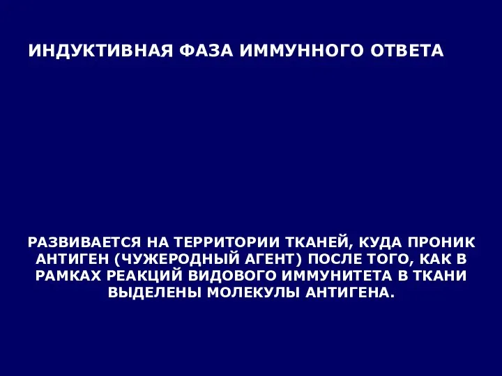 ИНДУКТИВНАЯ ФАЗА ИММУННОГО ОТВЕТА РАЗВИВАЕТСЯ НА ТЕРРИТОРИИ ТКАНЕЙ, КУДА ПРОНИК АНТИГЕН