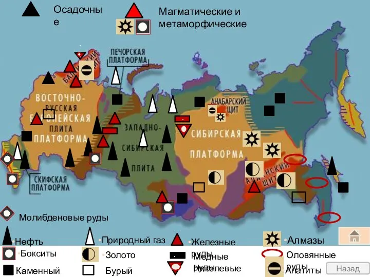 Нефть Природный газ Каменный уголь Золото Железные руды Осадочные Магматические и