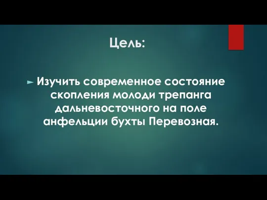 Цель: Изучить современное состояние скопления молоди трепанга дальневосточного на поле анфельции бухты Перевозная.