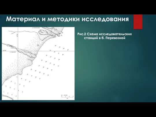 Материал и методики исследования Рис.2 Схема исследовательских станций в б. Перевозной