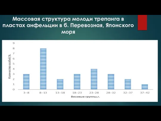 Массовая структура молоди трепанга в пластах анфельции в б. Перевозная, Японского моря