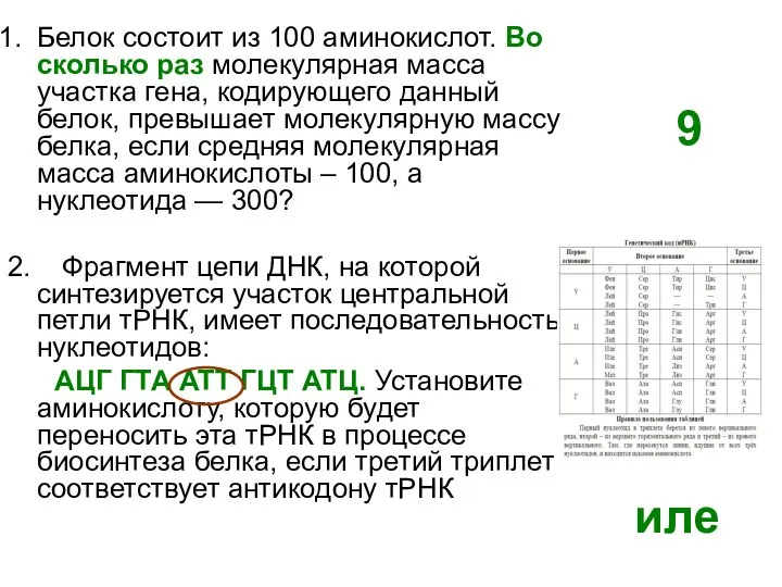 Белок состоит из 100 аминокислот. Во сколько раз молекулярная масса участка