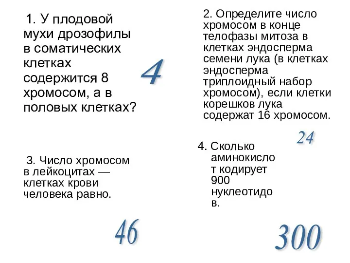 1. У плодовой мухи дрозофилы в соматических клетках содержится 8 хромосом,