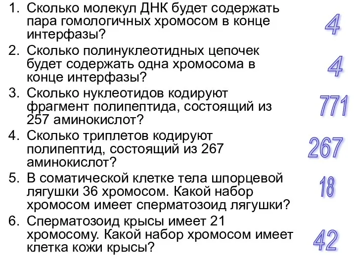 Сколько молекул ДНК будет содержать пара гомологичных хромосом в конце интерфазы?