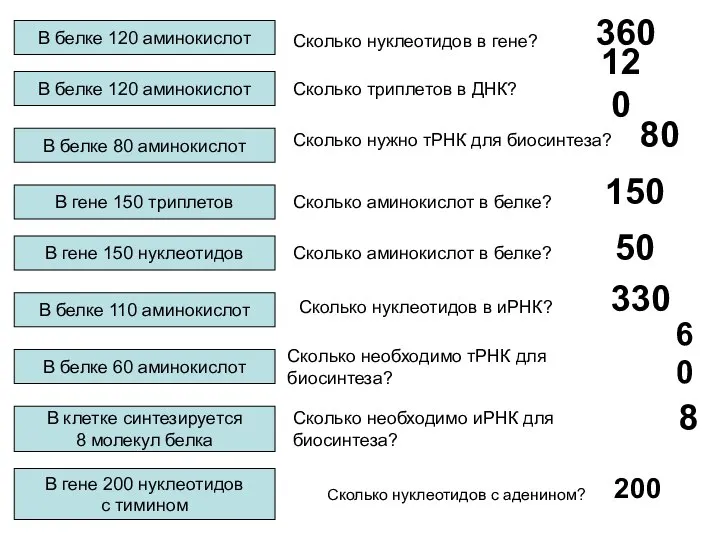 360 120 80 В белке 110 аминокислот В белке 60 аминокислот