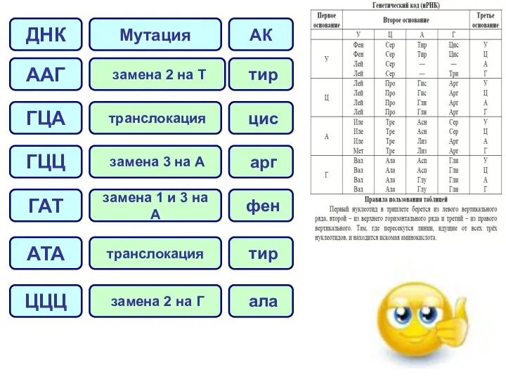 ДНК ААГ ГЦА ГЦЦ ГАТ АТА Мутация замена 2 на Т