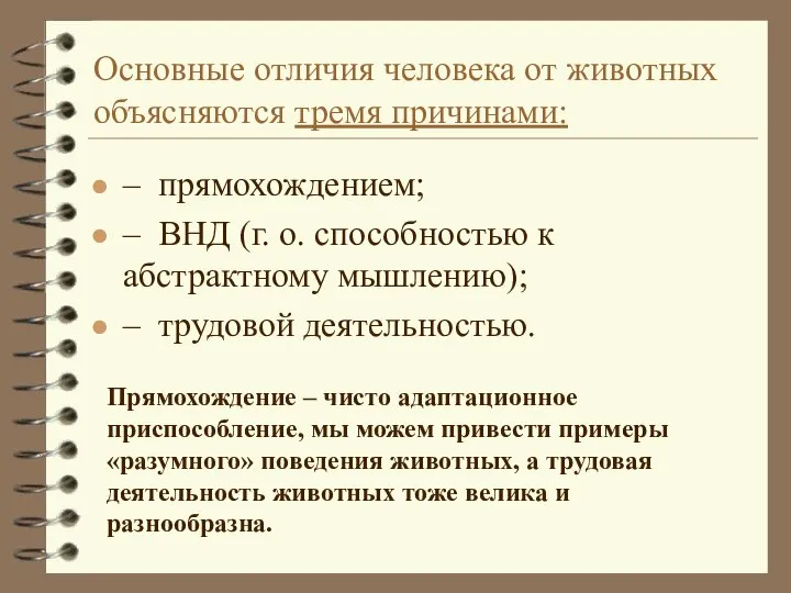 Основные отличия человека от животных объясняются тремя причинами: – прямохождением; –