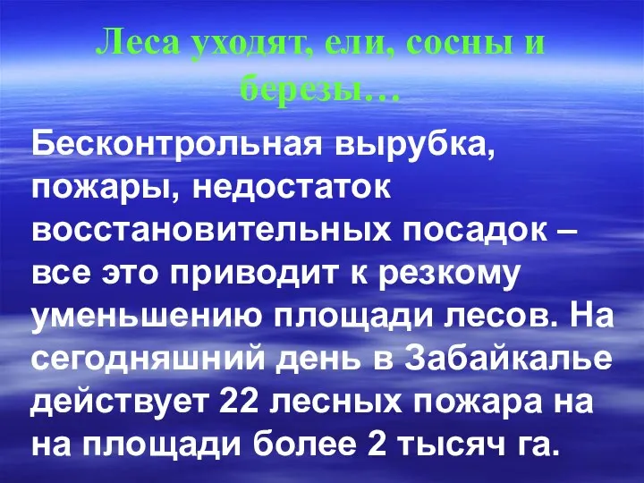 Леса уходят, ели, сосны и березы… Бесконтрольная вырубка, пожары, недостаток восстановительных