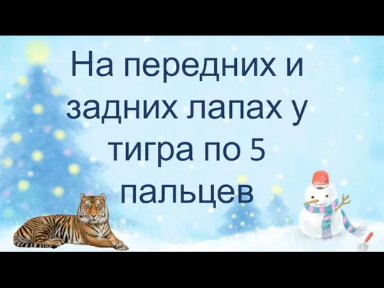 На передних и задних лапах у тигра по 5 пальцев