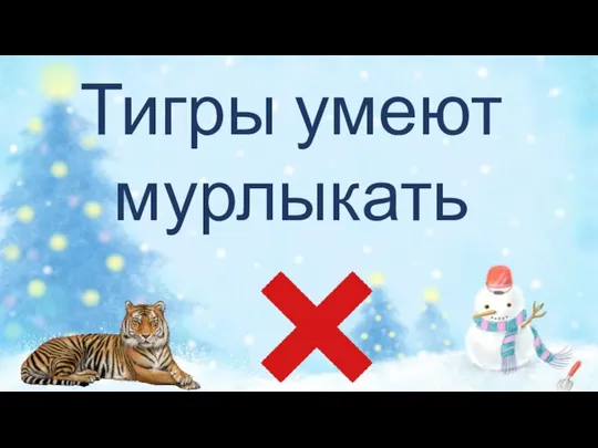 Тигры умеют мурлыкать