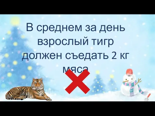 В среднем за день взрослый тигр должен съедать 2 кг мяса