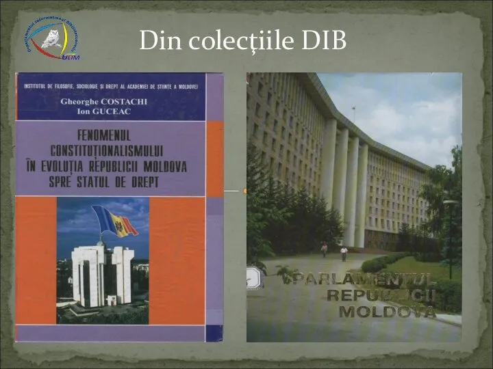 Din colecţiile DIB