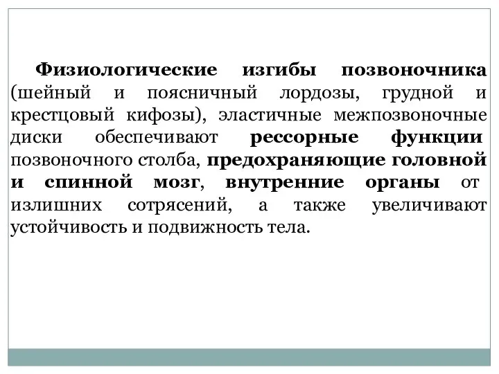 Физиологические изгибы позвоночника (шейный и поясничный лордозы, грудной и крестцовый кифозы),