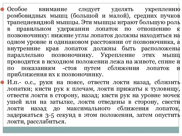 Особое внимание следует уделять укреплению ромбовидных мышц (большой и малой), средних