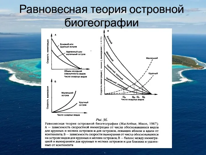 Равновесная теория островной биогеографии