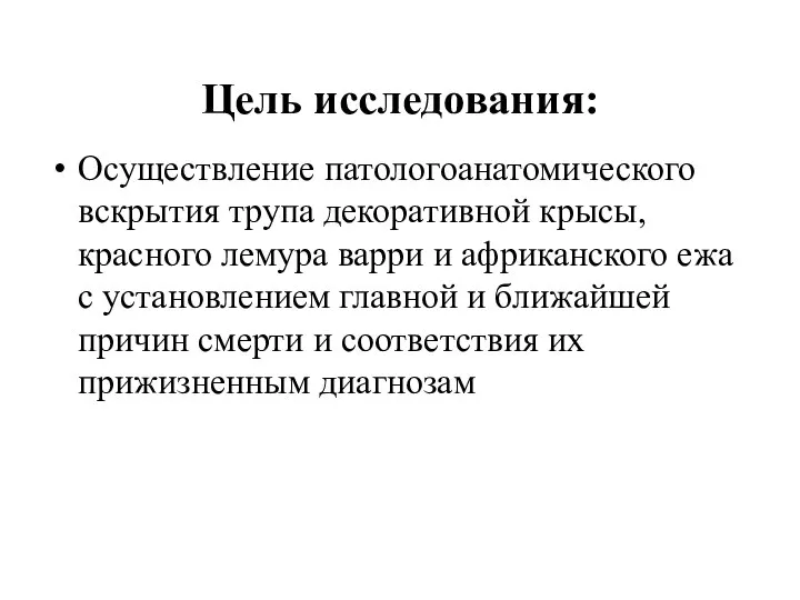 Цель исследования: Осуществление патологоанатомического вскрытия трупа декоративной крысы, красного лемура варри