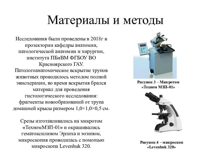 Исследования были проведены в 2018г в прозектории кафедры анатомии, патологической анатомии