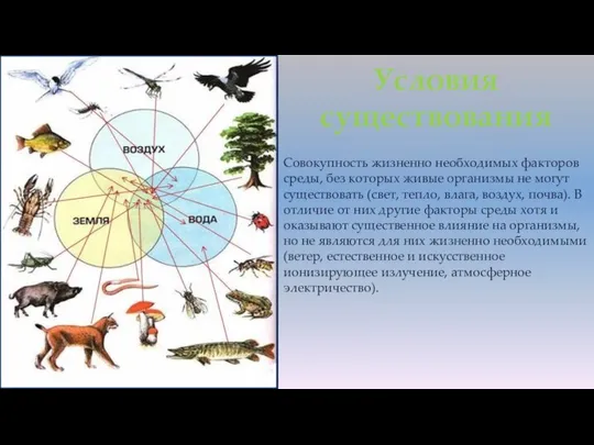 Совокупность жизненно необходимых факторов среды, без которых живые организмы не могут