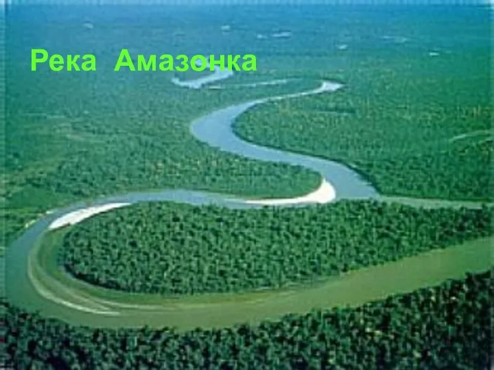 Река Амазонка