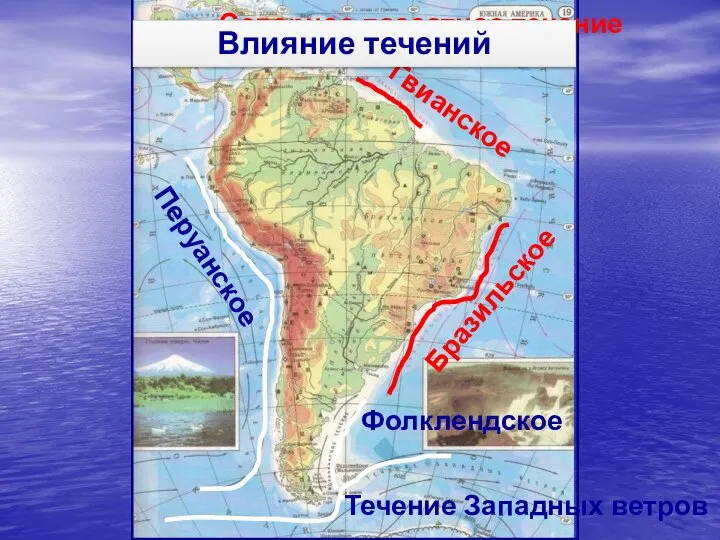 Гвианское Бразильское Перуанское Фолклендское Течение Западных ветров Северное пассатное течение Влияние течений