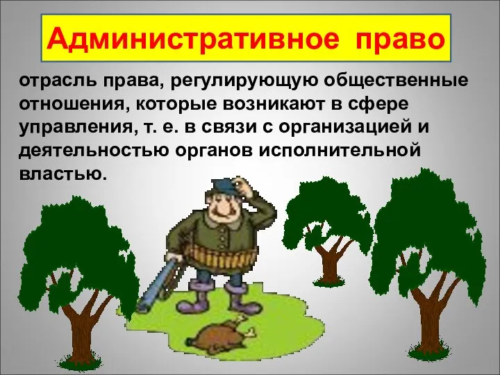 отрасль права, регулирующую общественные отношения, которые возникают в сфере управления, т.