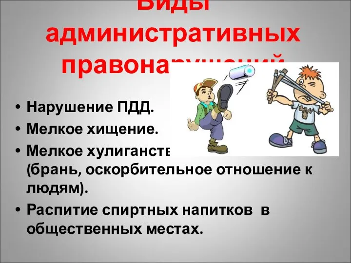 Виды административных правонарушений Нарушение ПДД. Мелкое хищение. Мелкое хулиганство (брань, оскорбительное