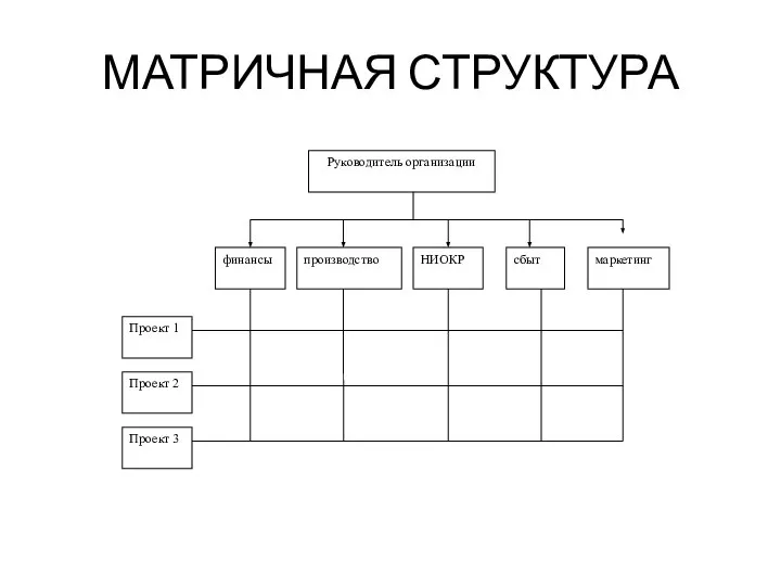 МАТРИЧНАЯ СТРУКТУРА