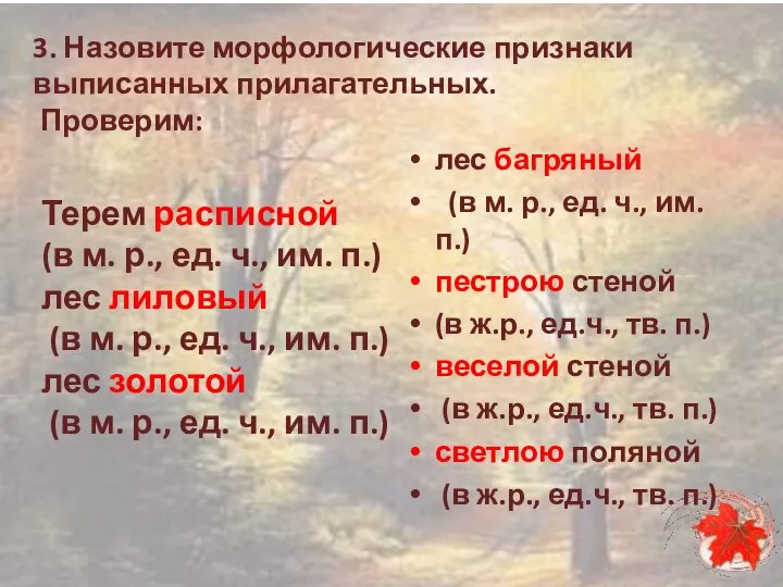 3. Назовите морфологические признаки выписанных прилагательных. Проверим: Терем расписной (в м.