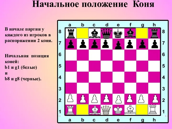 Начальное положение Коня В начале партии у каждого из игроков в