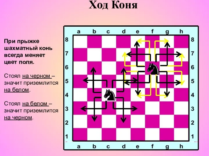 Ход Коня При прыжке шахматный конь всегда меняет цвет поля. Стоял