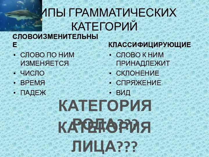 ТИПЫ ГРАММАТИЧЕСКИХ КАТЕГОРИЙ СЛОВОИЗМЕНИТЕЛЬНЫЕ СЛОВО ПО НИМ ИЗМЕНЯЕТСЯ ЧИСЛО ВРЕМЯ ПАДЕЖ