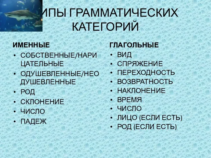 ТИПЫ ГРАММАТИЧЕСКИХ КАТЕГОРИЙ ИМЕННЫЕ СОБСТВЕННЫЕ/НАРИЦАТЕЛЬНЫЕ ОДУШЕВЛЕННЫЕ/НЕОДУШЕВЛЕННЫЕ РОД СКЛОНЕНИЕ ЧИСЛО ПАДЕЖ ГЛАГОЛЬНЫЕ