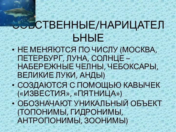 СОБСТВЕННЫЕ/НАРИЦАТЕЛЬНЫЕ НЕ МЕНЯЮТСЯ ПО ЧИСЛУ (МОСКВА, ПЕТЕРБУРГ, ЛУНА, СОЛНЦЕ – НАБЕРЕЖНЫЕ