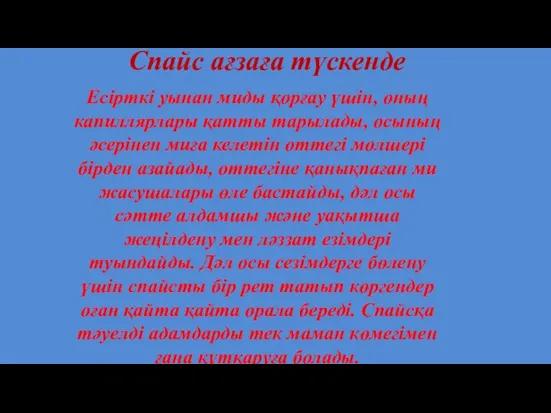 Спайс ағзаға түскенде Есірткі уынан миды қорғау үшін, оның капиллярлары қатты