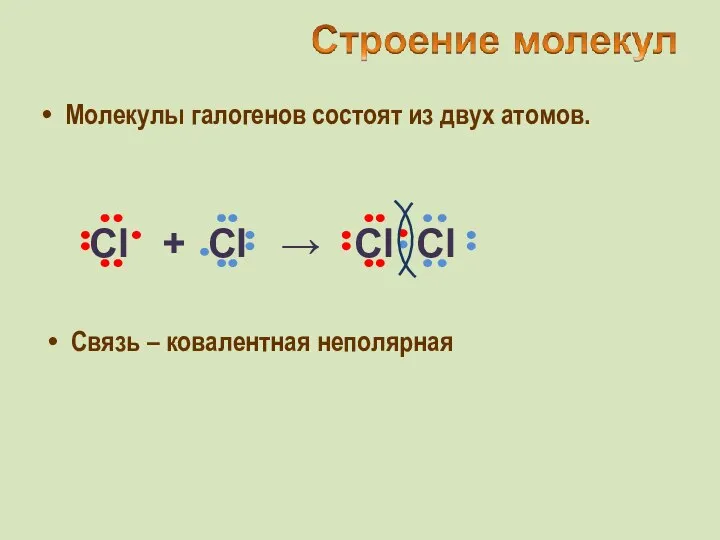 Молекулы галогенов состоят из двух атомов. Связь – ковалентная неполярная