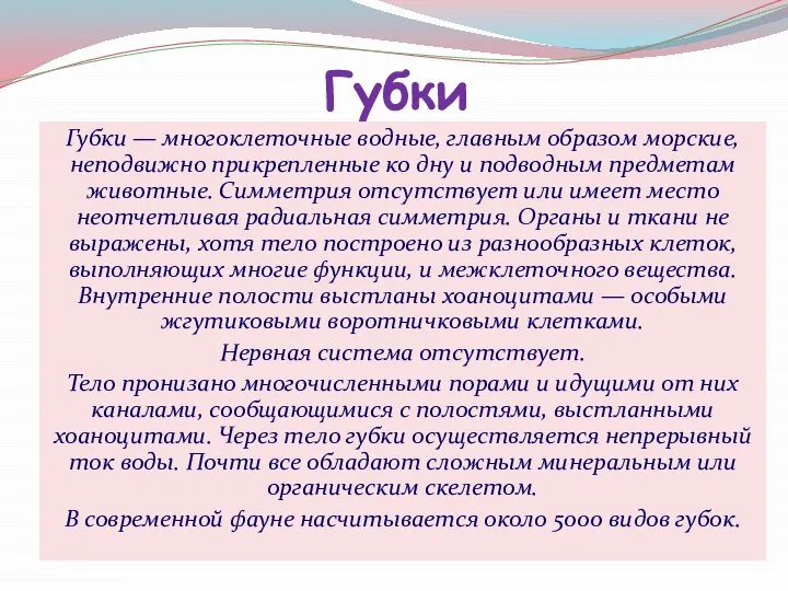 Губки Губки — многоклеточные водные‚ главным образом морские, неподвижно прикрепленные ко