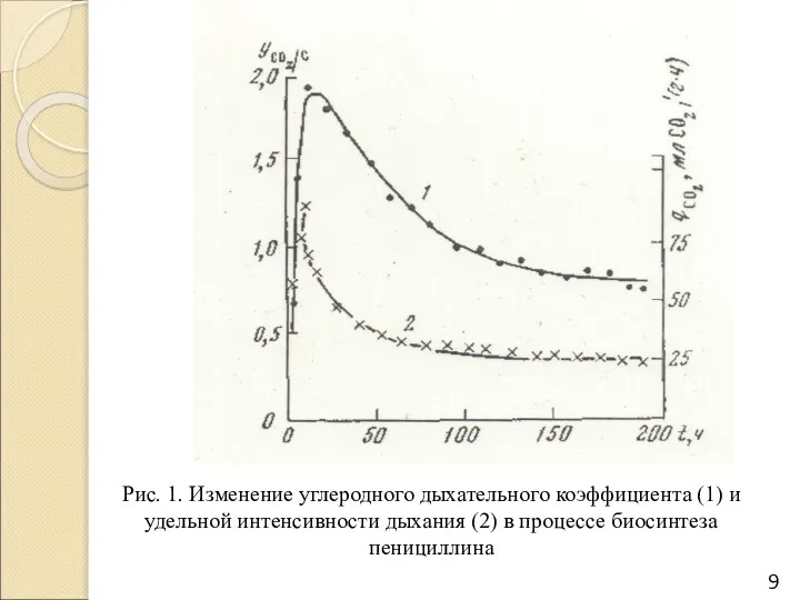 Рис. 1. Изменение углеродного дыхательного коэффициента (1) и удельной интенсивности дыхания (2) в процессе биосинтеза пенициллина