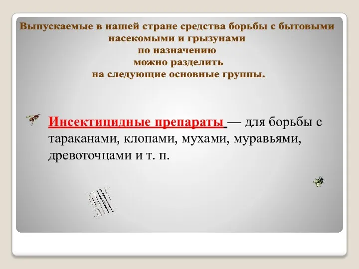 Инсектицидные препараты — для борьбы с тараканами, клопами, мухами, муравьями, древоточцами