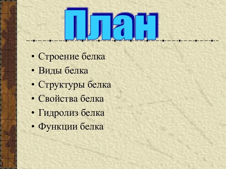 Строение белка Виды белка Структуры белка Свойства белка Гидролиз белка Функции белка План