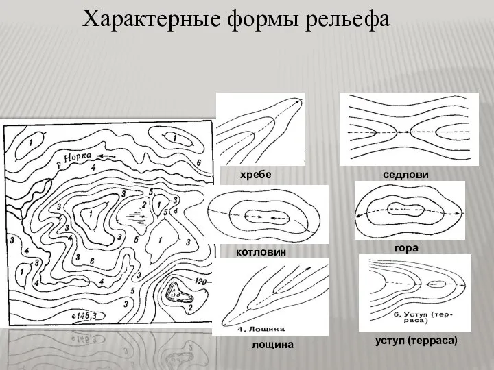 Характерные формы рельефа хребет седловина котловина гора лощина уступ (терраса)