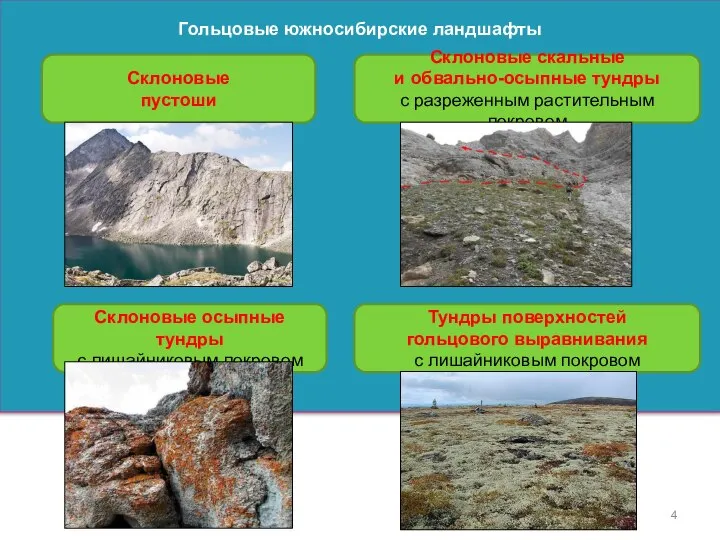 Гольцовые южносибирские ландшафты Склоновые пустоши Тундры поверхностей гольцового выравнивания с лишайниковым