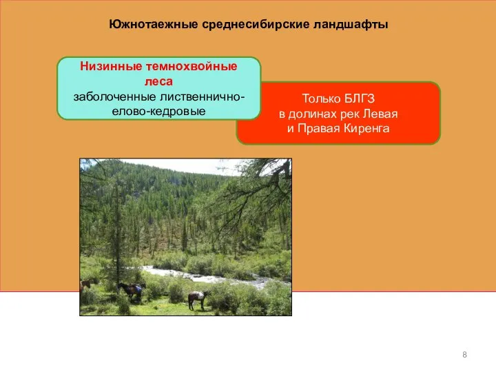 Южнотаежные среднесибирские ландшафты Только БЛГЗ в долинах рек Левая и Правая