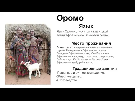 Оромо Традиционные занятия -Пашенное и ручное земледелие. -Животноводство. -Скотоводство. Язык Язык