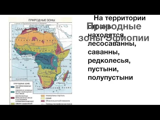 На территории страны находятся лесосаванны, саванны,редколесья, пустыни, полупустыни Природные зоны Эфиопии