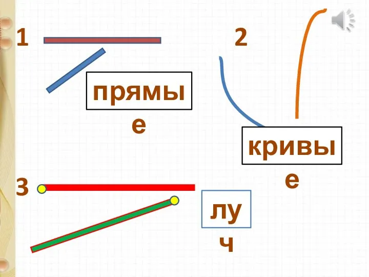 1 2 прямые кривые луч 3