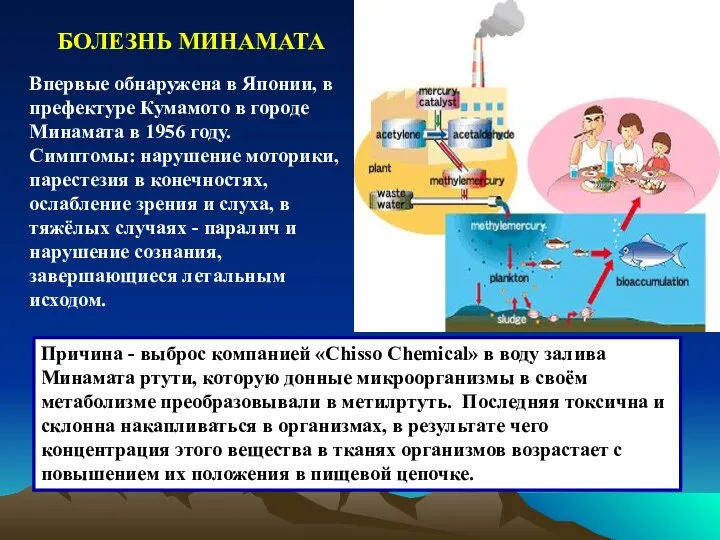 Впервые обнаружена в Японии, в префектуре Кумамото в городе Минамата в